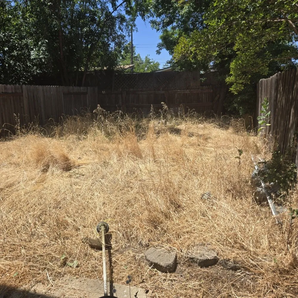 Local outdoor landscaping near you in Elk Grove, CA by VS Lawn Care