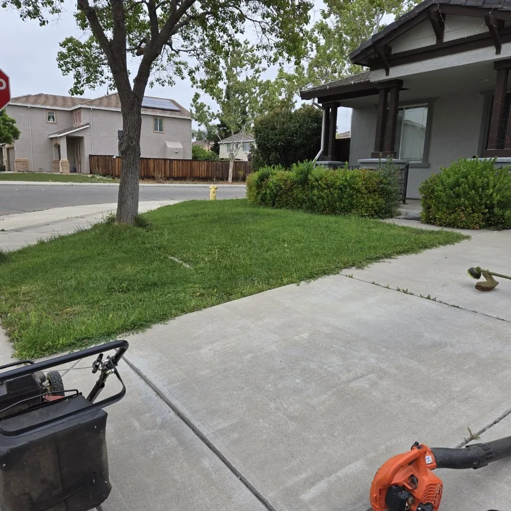 Reliable garden landscaping for year-round maintenance in Elk Grove, CA by VS Lawn Care