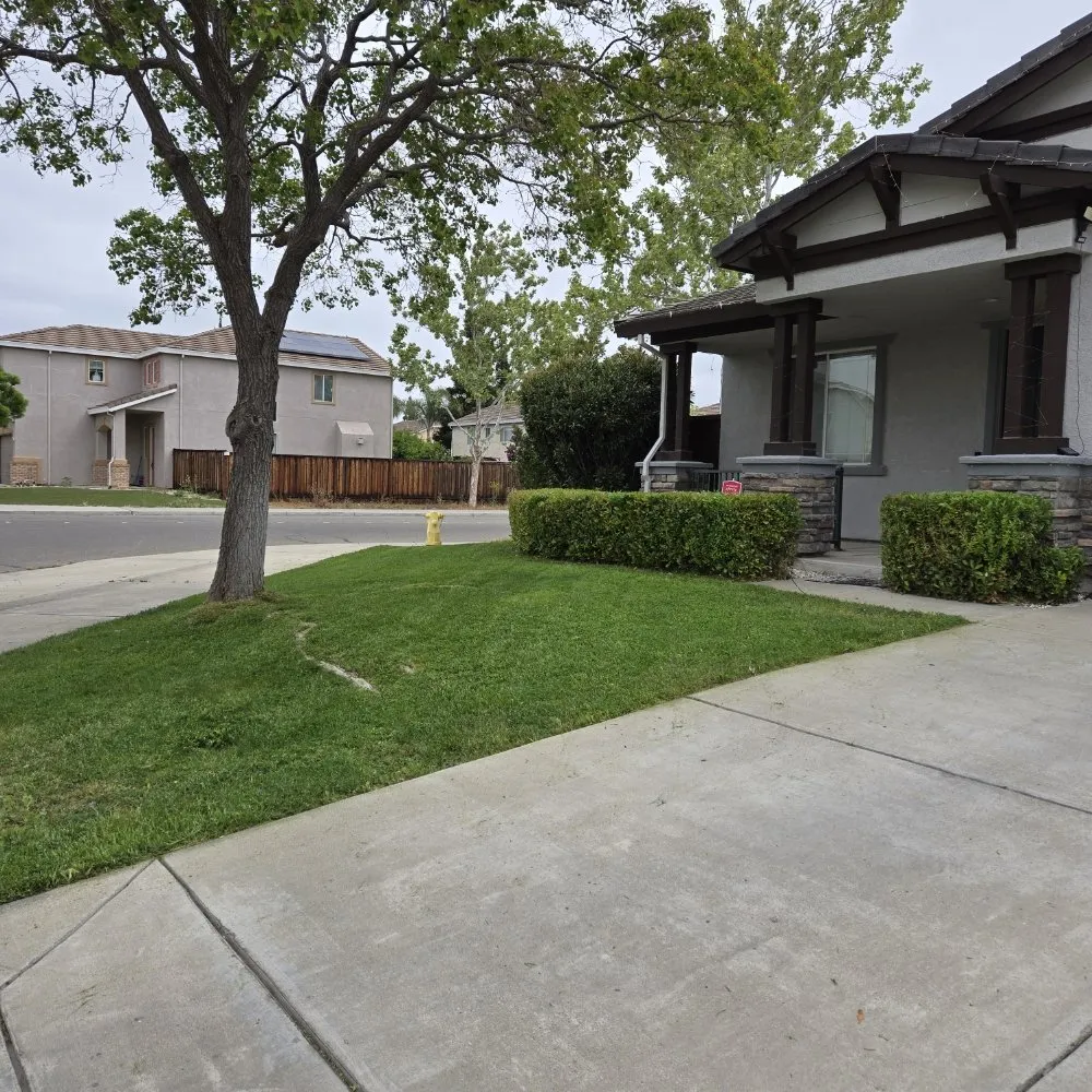 Custom landscape installation in Elk Grove, CA by VS Lawn Care