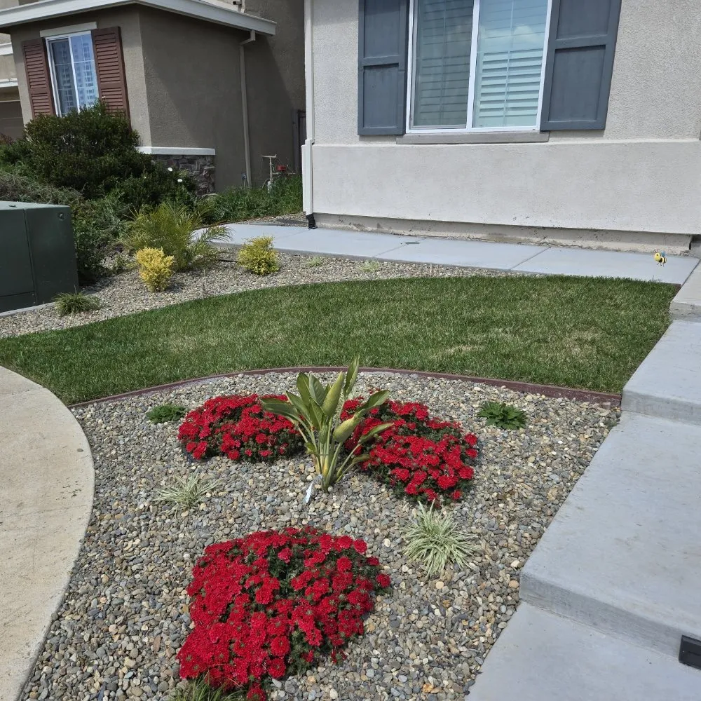 Expert landscape installation with custom design across Elk Grove, CA - VS Lawn Care