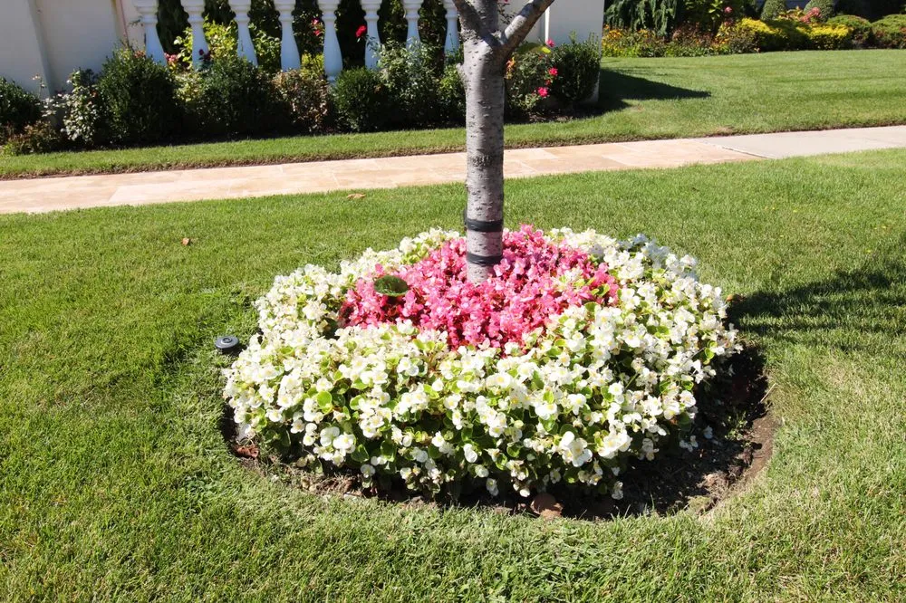 Affordable garden landscaping in Inwood, NY - VS Roses & Landscape Design