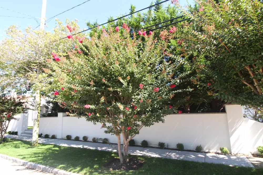 Affordable landscape design in Inwood, NY by VS Roses & Landscape Design