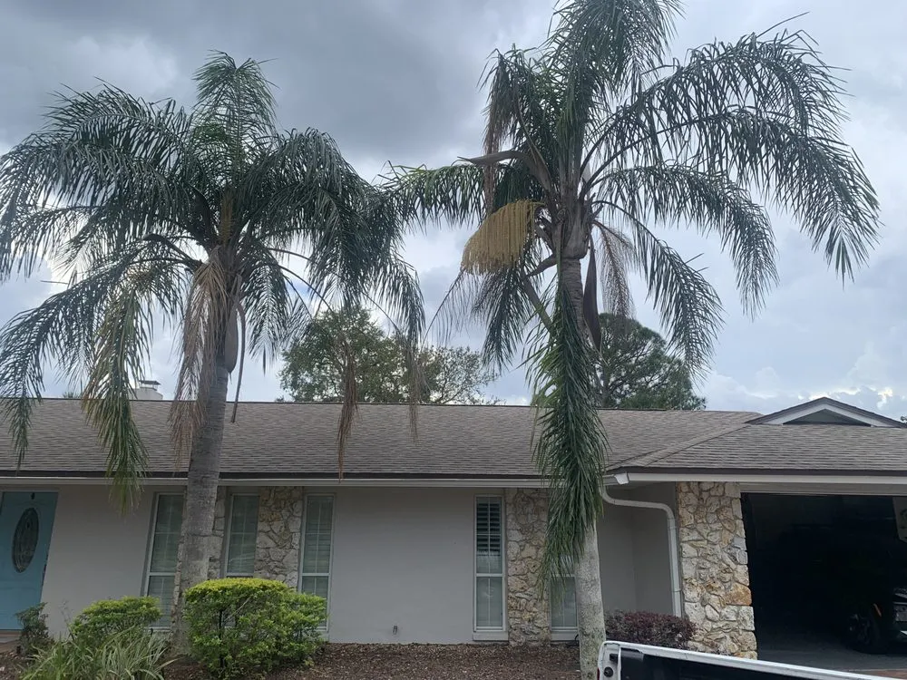 Trusted landscaping services in Apopka, FL by V’s Tree’s