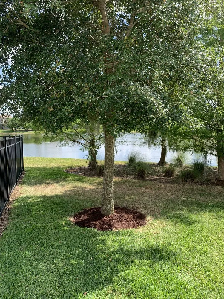 Expert lawn mowing service in Apopka, FL by V’s Tree’s