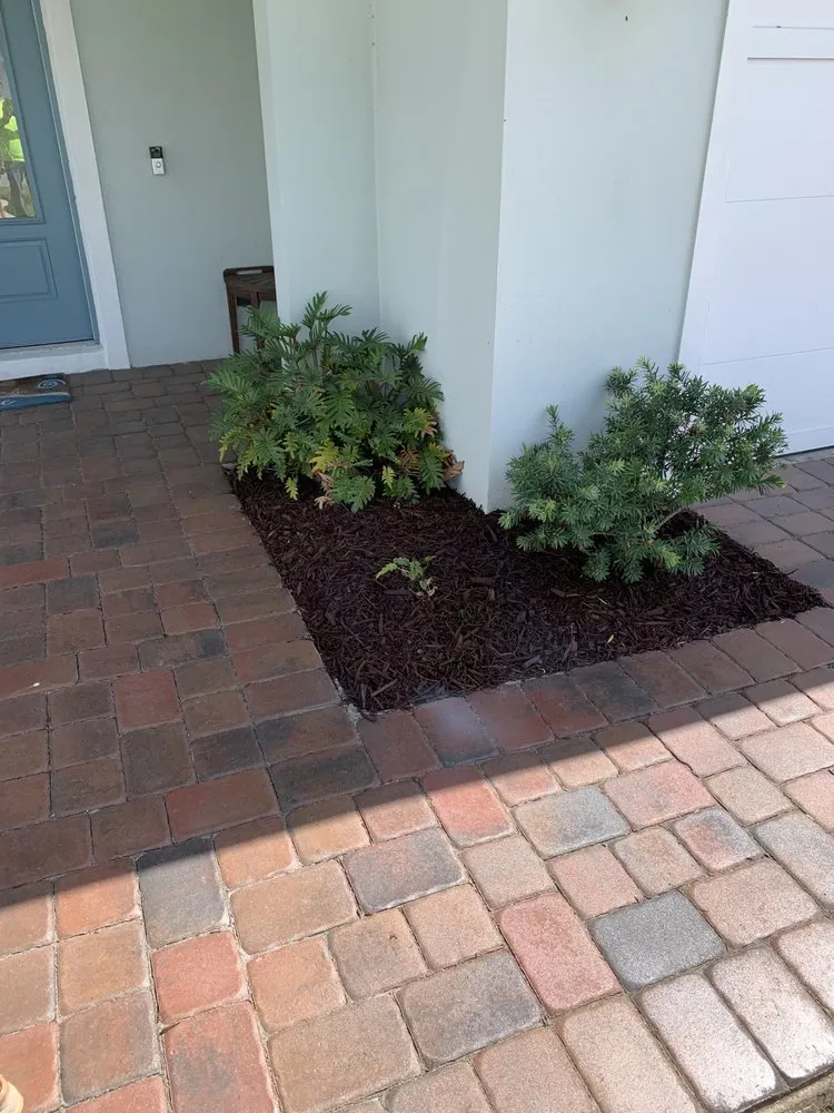 Local garden landscaping in Apopka, FL - V’s Tree’s