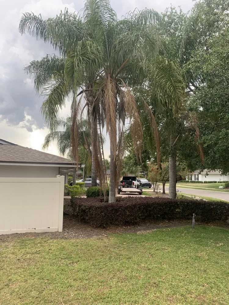 Top-rated yard cleanup service for year-round maintenance in Apopka, FL by V’s Tree’s