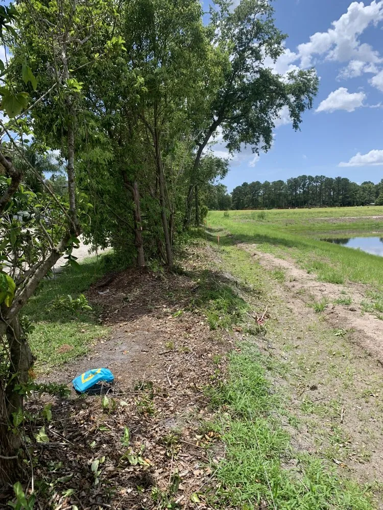 Expert lawn care service for residential properties in Apopka, FL by V’s Tree’s