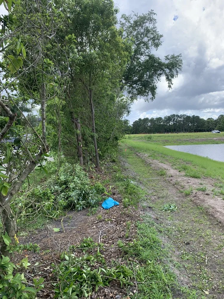 Top-rated landscaping services near you across Apopka, FL - V’s Tree’s