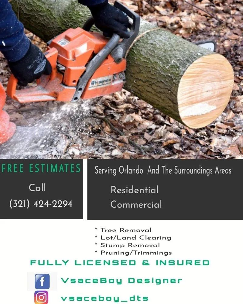 Trusted lawn care service in Belle Isle, FL - Vsaceboy Designer Tree and Lawn Service