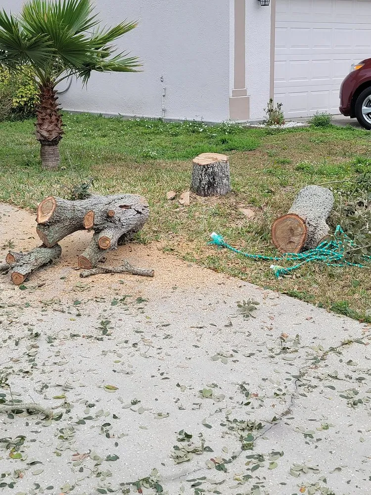 Custom yard cleanup service in Belle Isle, FL - Vsaceboy Designer Tree and Lawn Service