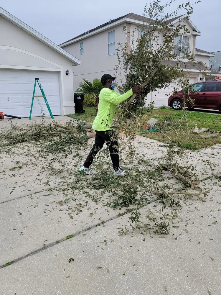 Expert residential landscaping with custom design across Belle Isle, FL - Vsaceboy Designer Tree and Lawn Service