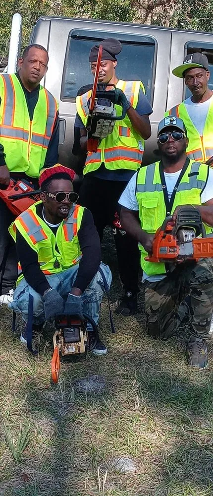 Professional garden landscaping experts serving Belle Isle, FL - Vsaceboy Designer Tree and Lawn Service