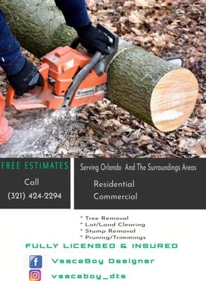 Vsaceboy Designer Tree and Lawn Service