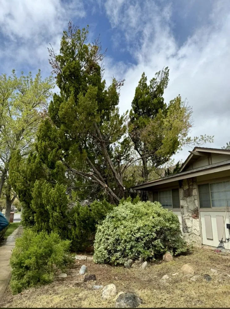 Custom landscaping services in Lancaster, CA - VSG Property Maintenance