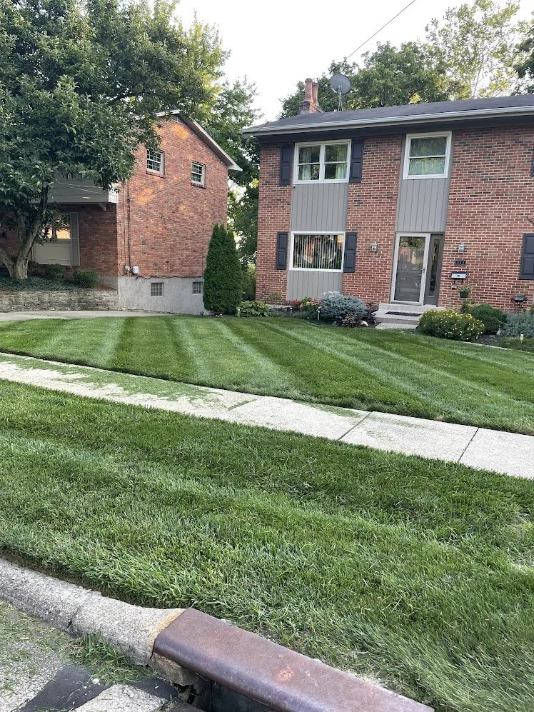 Professional landscaping services experts serving Cincinnati, OH - VSM Mowing