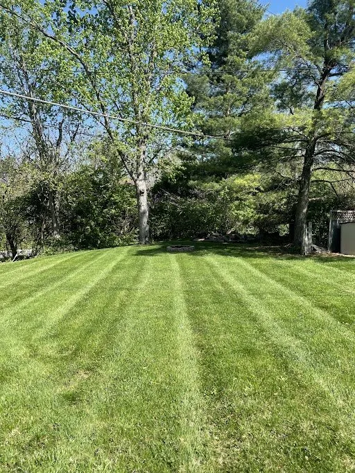 Affordable landscape installation in Cincinnati, OH by VSM Mowing