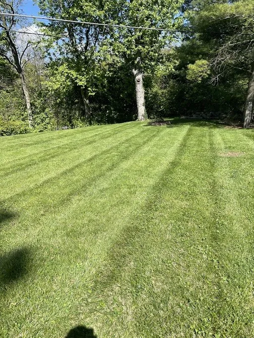 Affordable yard cleanup service for residential properties across Cincinnati, OH - VSM Mowing