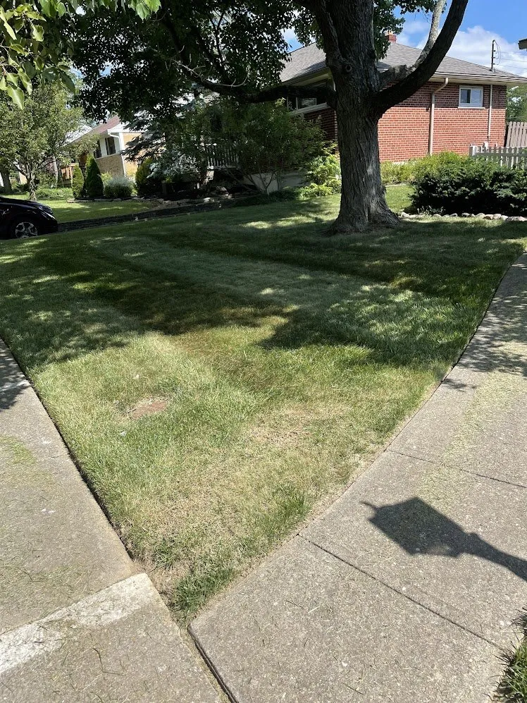 Professional residential landscaping experts serving Cincinnati, OH - VSM Mowing