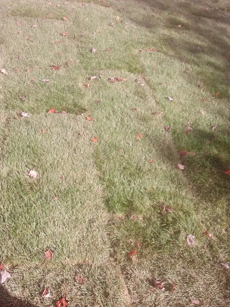 Top-rated outdoor landscaping in Somerset, MA - VSS Landscaping