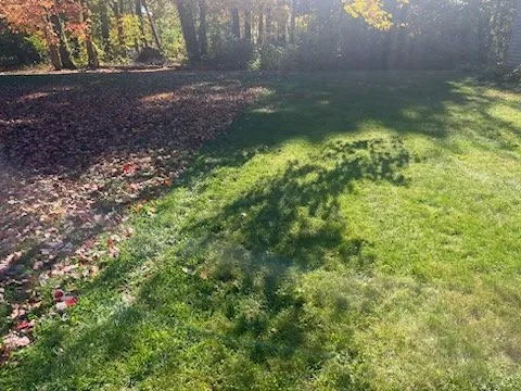 Reliable yard cleanup service for residential properties in Somerset, MA by VSS Landscaping