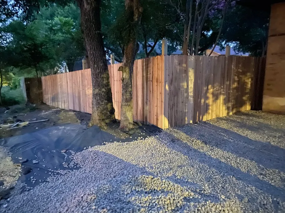 Top-rated yard cleanup service in Austin, TX - Vt lawn care