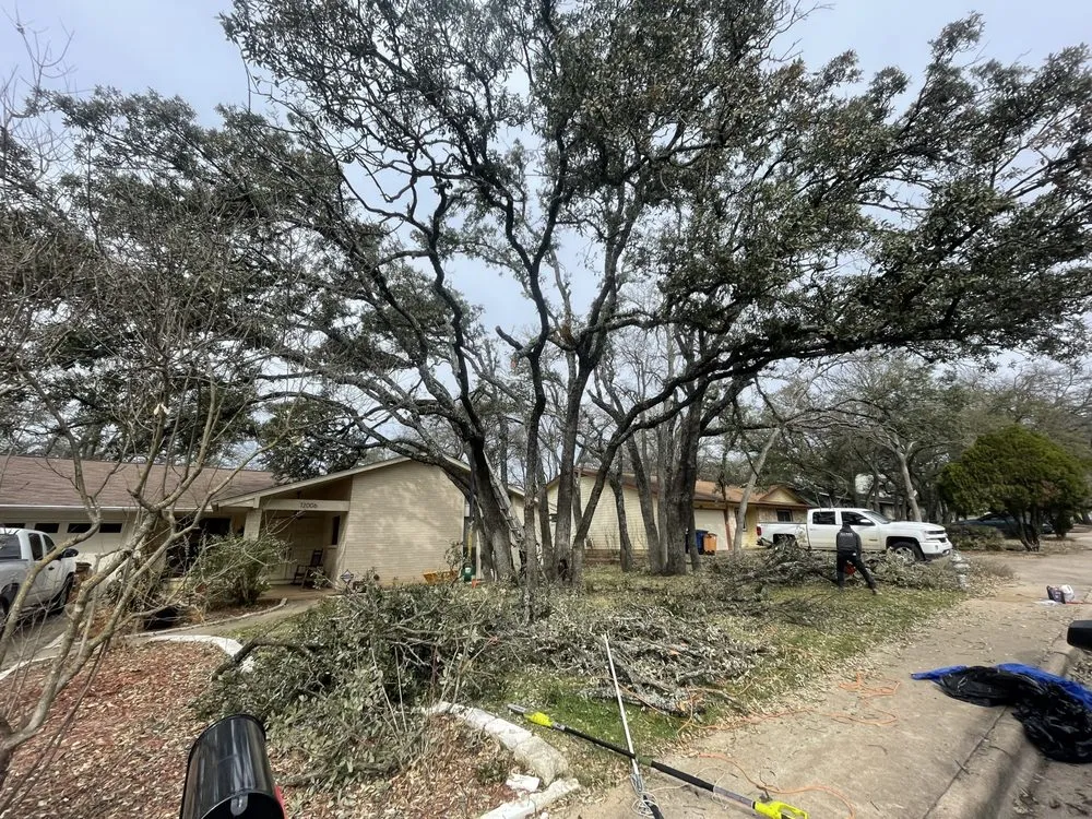 Professional lawn care service for residential properties in Austin, TX by Vt lawn care