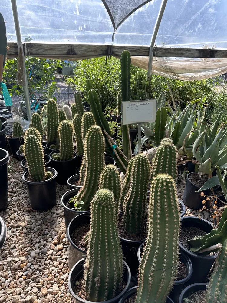 Local landscaping services for residential properties across Austin, TX - Vt lawn care