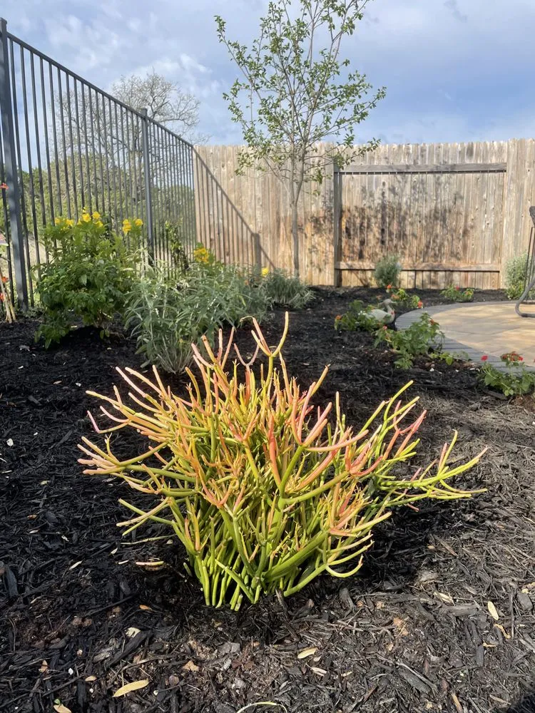 Local landscape installation in Austin, TX - Vt lawn care