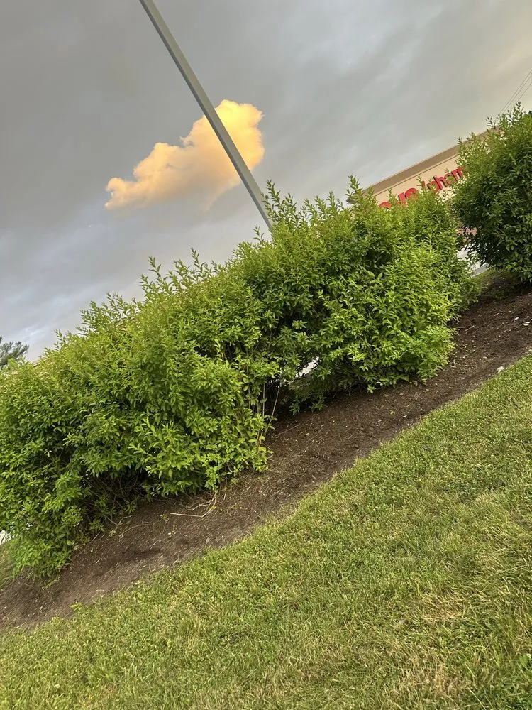 Trusted residential landscaping experts serving Georgia, VT - VT Property Maintenance