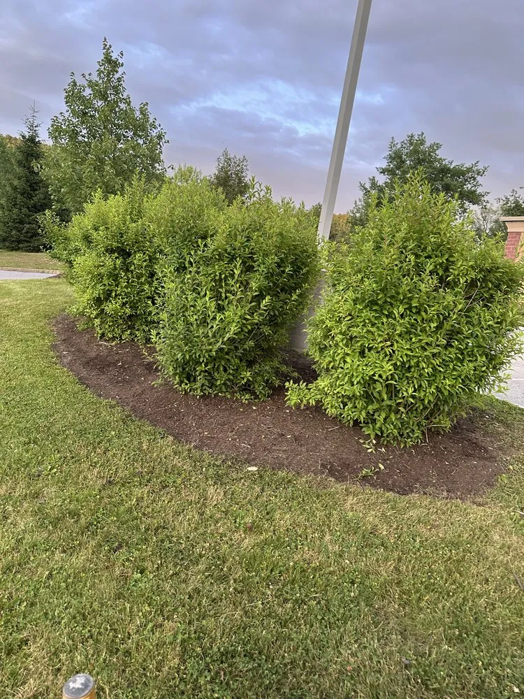 Trusted yard maintenance near you across Georgia, VT - VT Property Maintenance