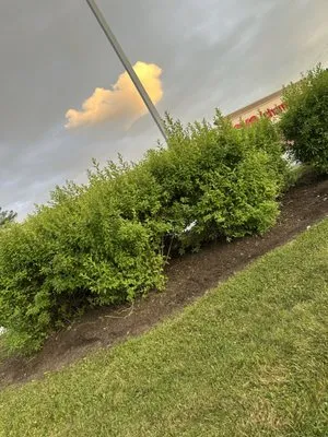 VT Property Maintenance