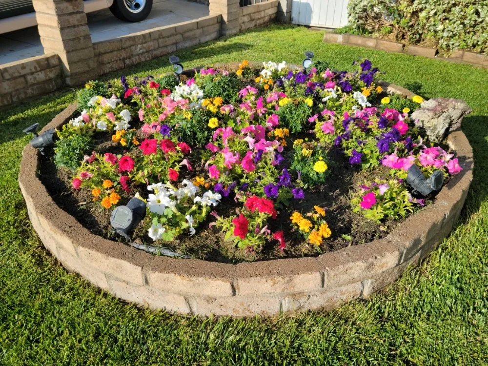 Affordable yard maintenance for outdoor upgrades across Ontario, CA - VTech Maintenance