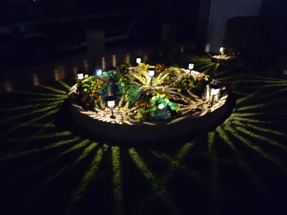 Local yard cleanup service in Ontario, CA - VTech Maintenance