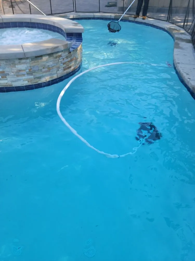 Custom landscape installation in Ontario, CA - VTech Maintenance