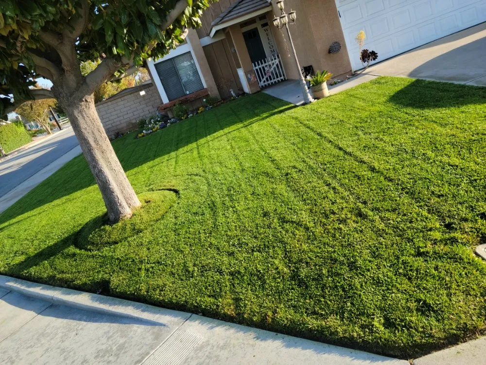 Professional garden landscaping with custom design in Ontario, CA by VTech Maintenance