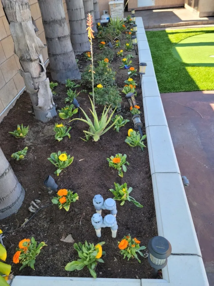 Local lawn mowing service for beautiful yards in Ontario, CA by VTech Maintenance