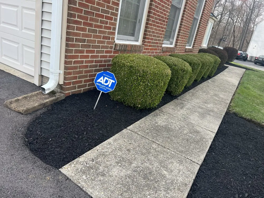 Reliable yard cleanup service in Brandywine, MD by VTM Landscaping Services