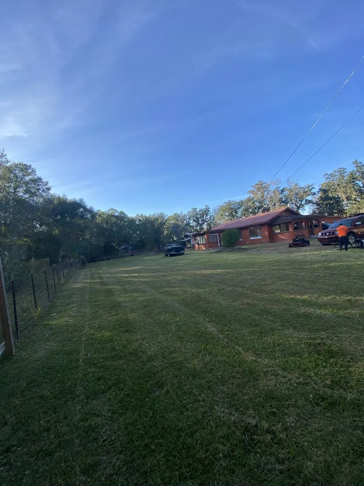 Expert garden landscaping in Dover, FL - VTuro Lawn Care