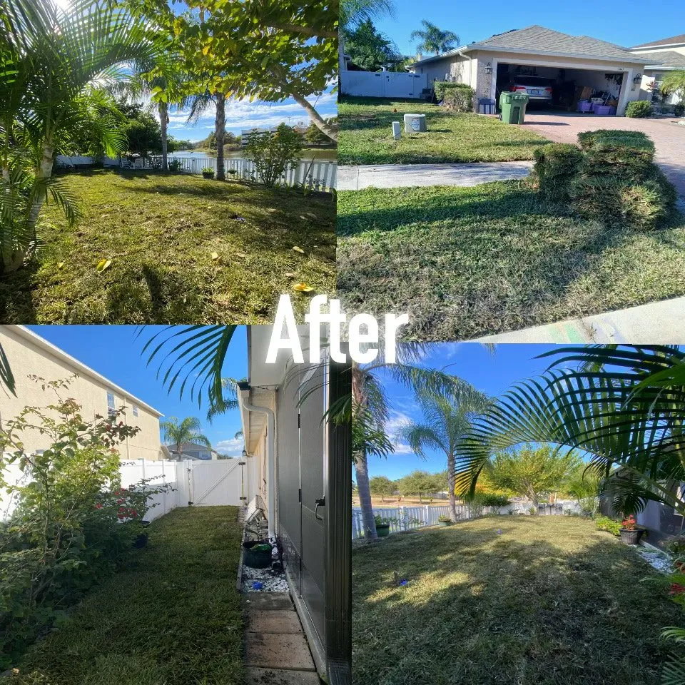 Reliable residential landscaping in Dover, FL - VTuro Lawn Care