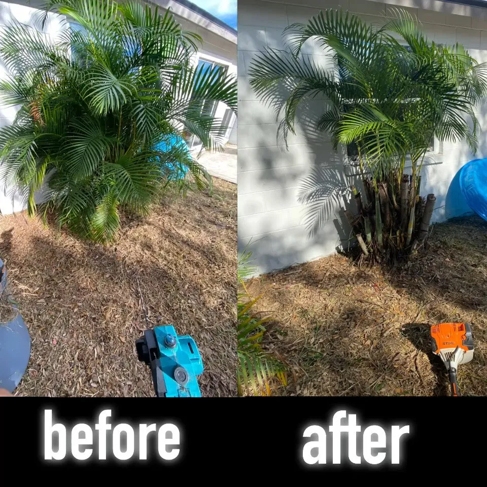 Top-rated landscape design experts serving Dover, FL - VTuro Lawn Care