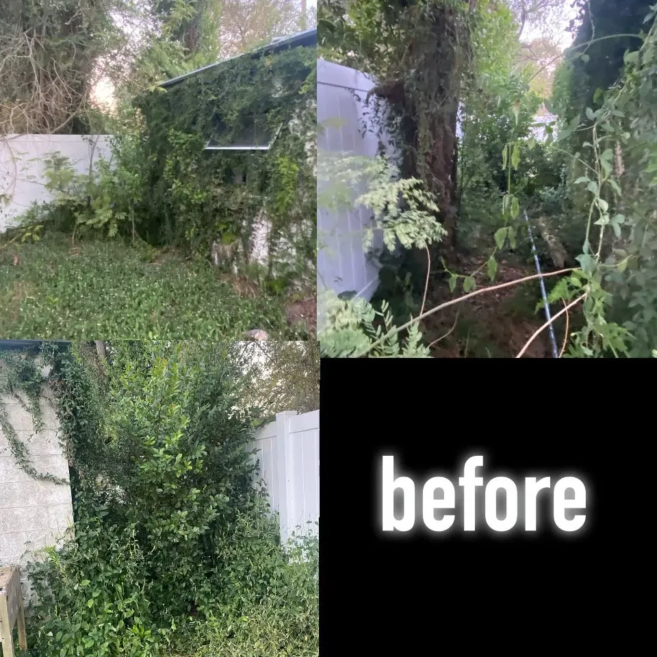 Expert landscape installation for homes across Dover, FL - VTuro Lawn Care