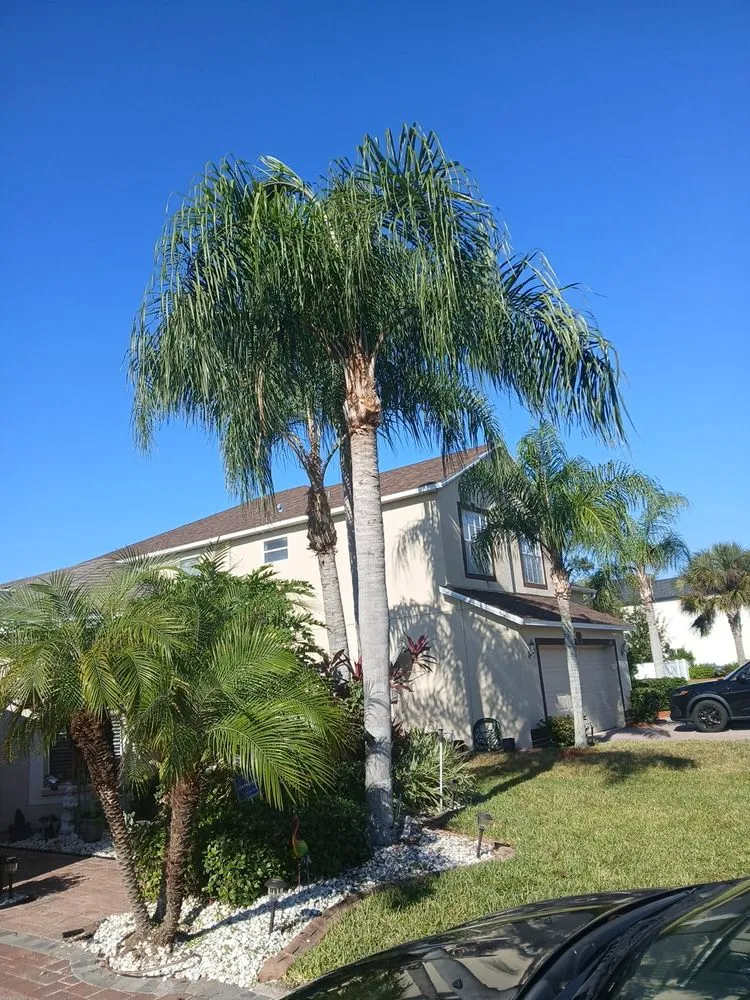 Expert garden landscaping near you across Dover, FL - VTuro Lawn Care