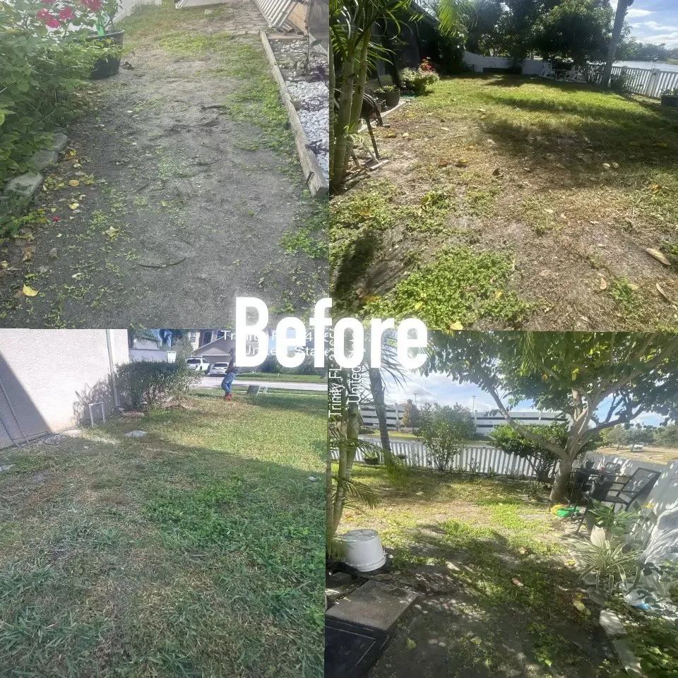 Professional yard cleanup service in Dover, FL by VTuro Lawn Care