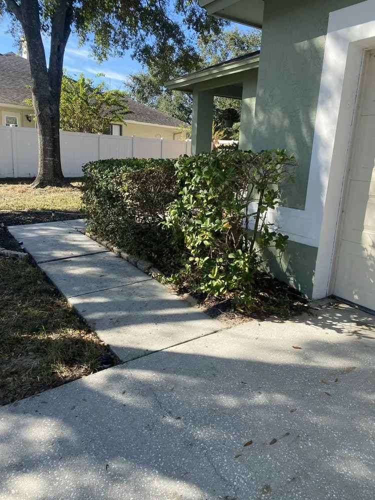 Reliable landscape installation in Dover, FL by VTuro Lawn Care
