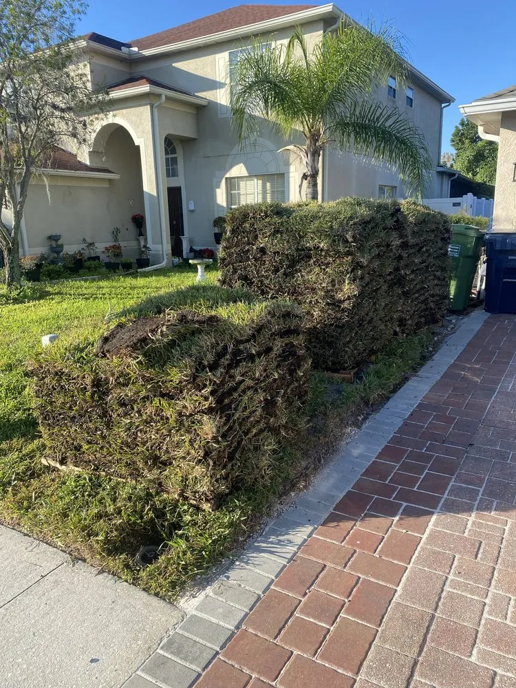 Trusted landscape installation in Dover, FL - VTuro Lawn Care