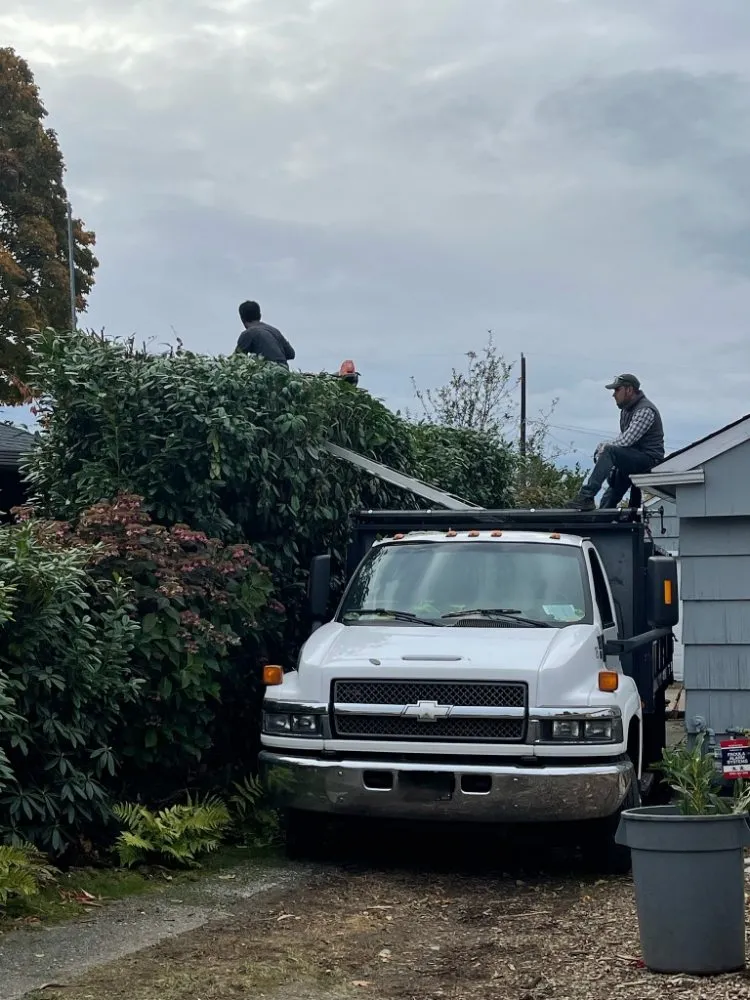 Professional lawn mowing service in Seattle, WA - Vu Nguyen Landscaping And Junk Removal