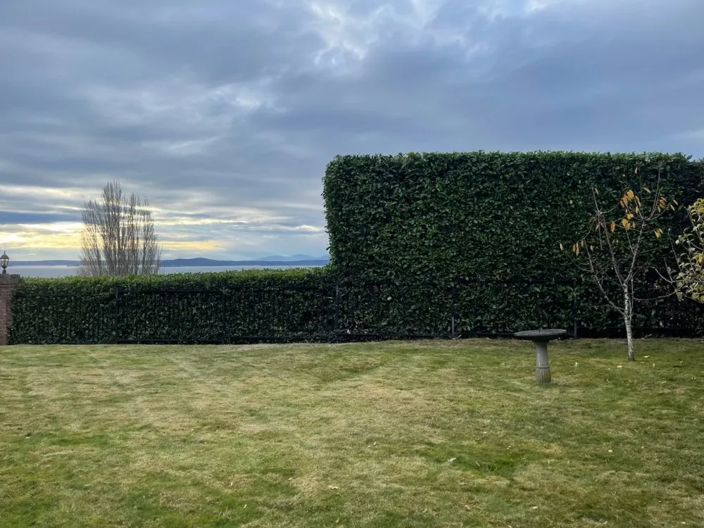 Reliable garden landscaping in Seattle, WA - Vu Nguyen Landscaping And Junk Removal