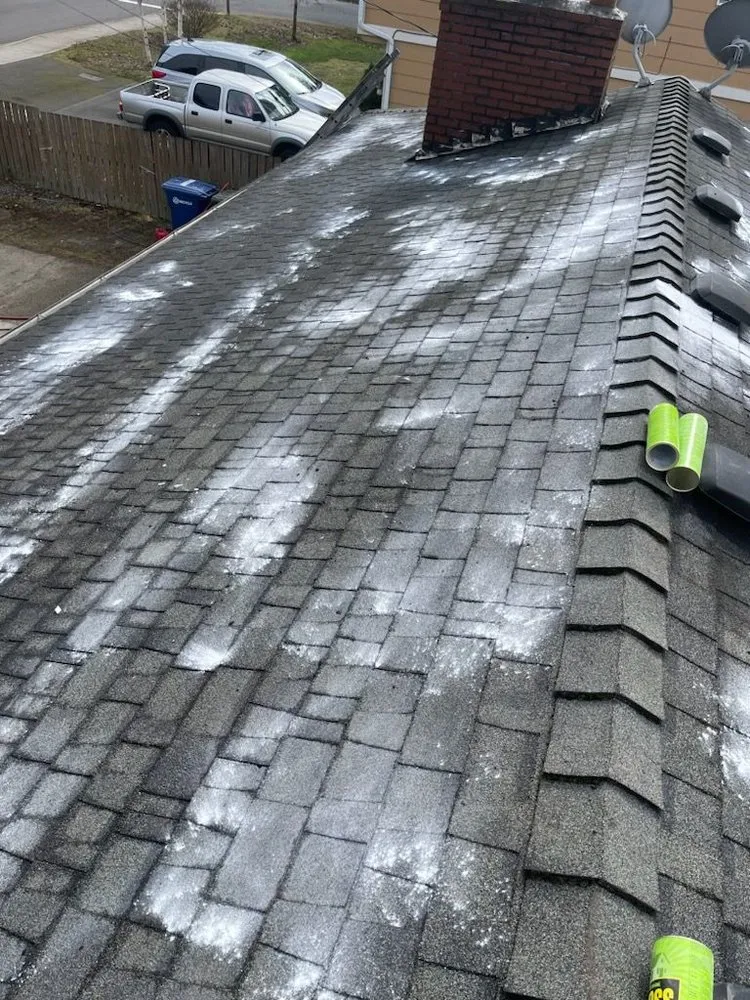 Expert lawn mowing service experts serving Seattle, WA - Vu Nguyen Landscaping And Junk Removal