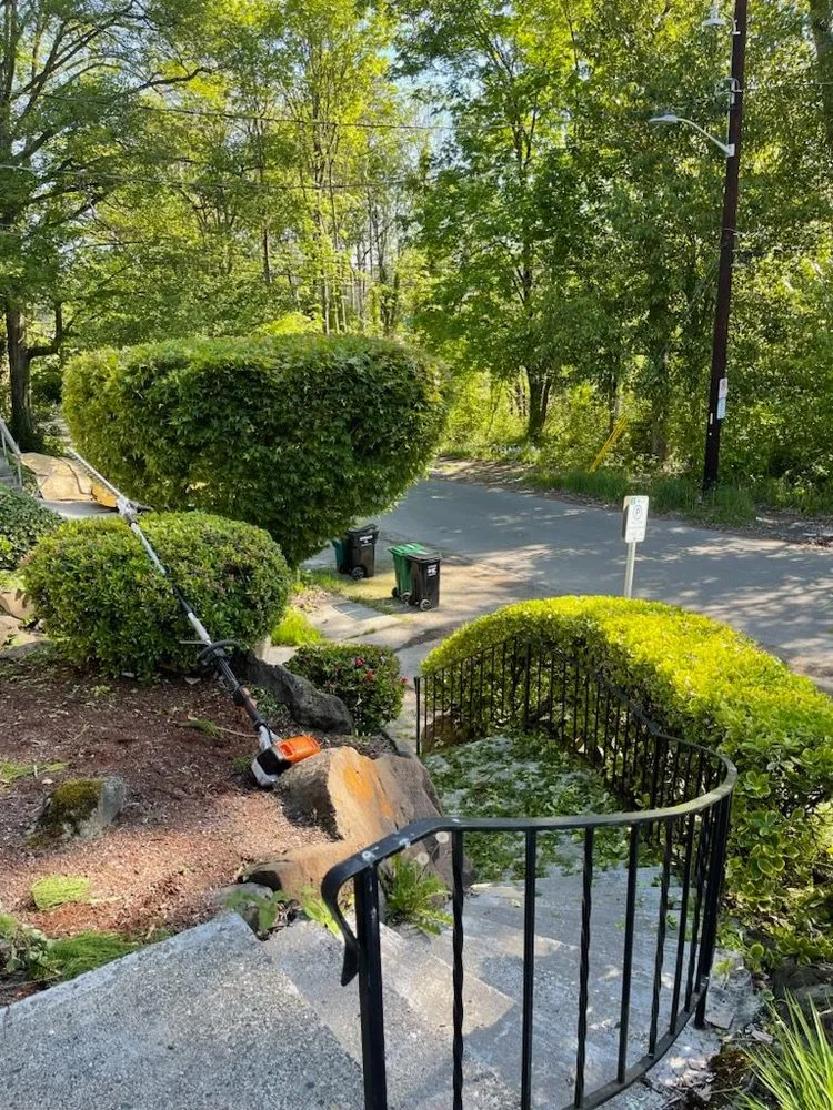 Reliable yard cleanup service for beautiful yards in Seattle, WA by Vu Nguyen Landscaping And Junk Removal