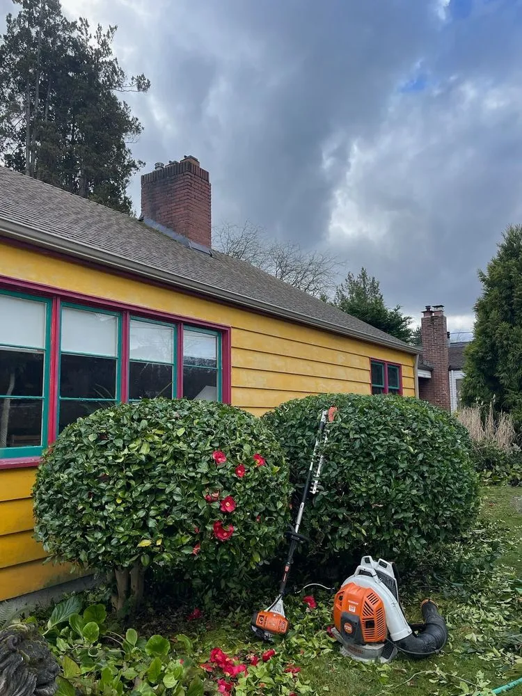 Expert outdoor landscaping experts serving Seattle, WA - Vu Nguyen Landscaping And Junk Removal